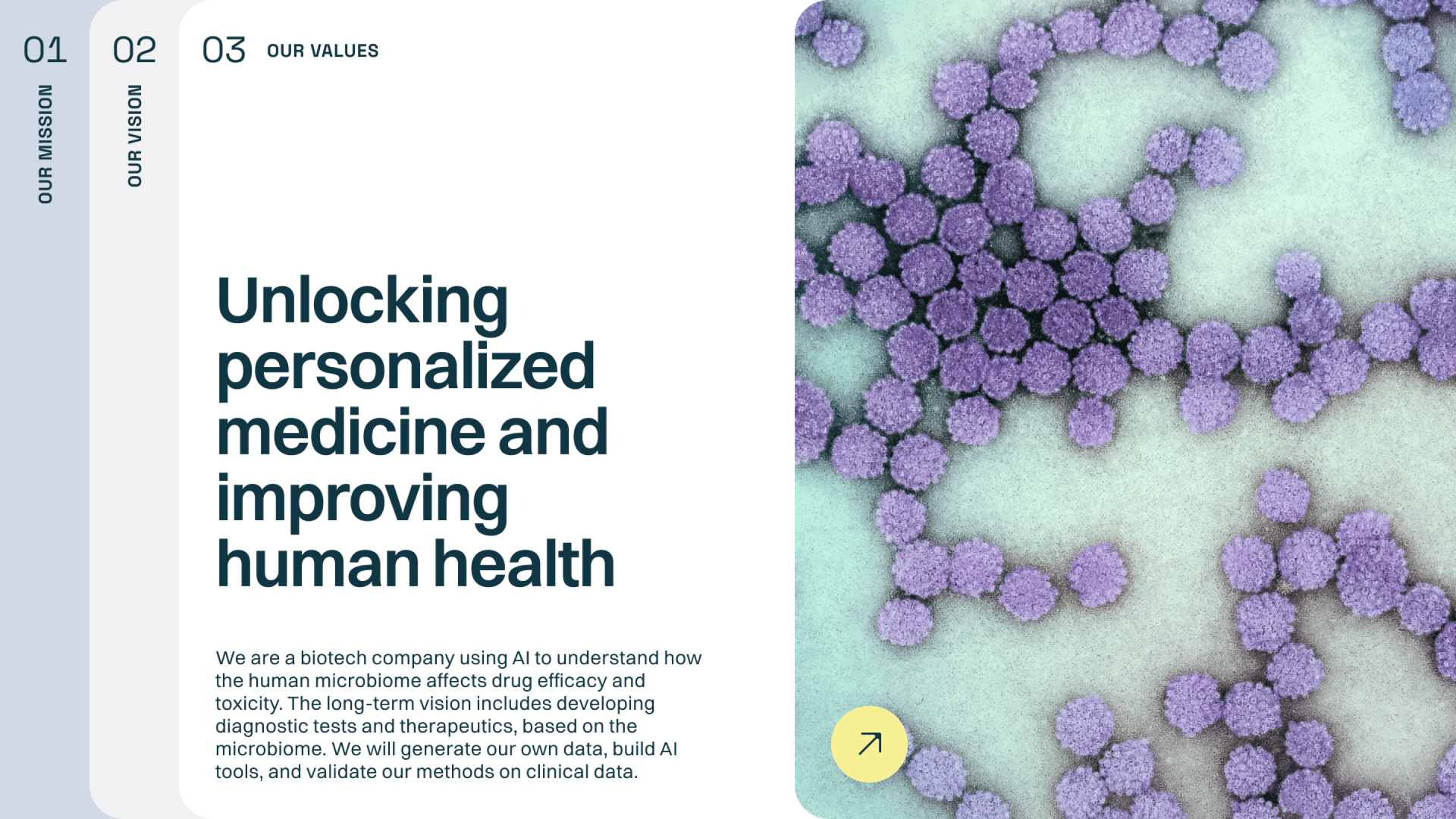 Nookbio presentation