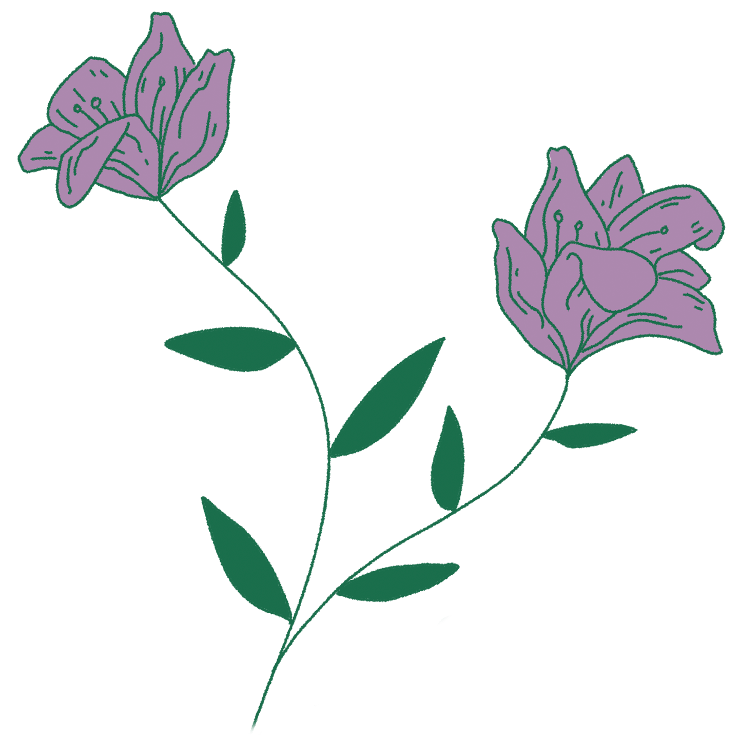 Chloe flower illustration